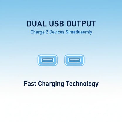 Dual USB Output Infographic